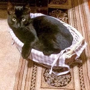 Meet your Posher, Natalie